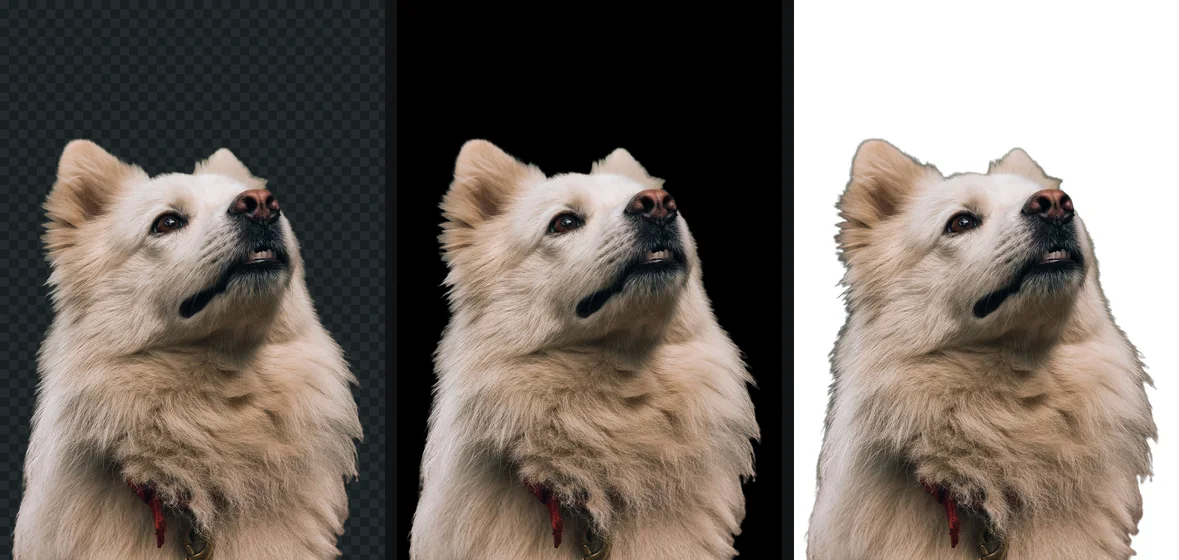 The same dog cutout shown three ways: on a checkerboard, on black and on white