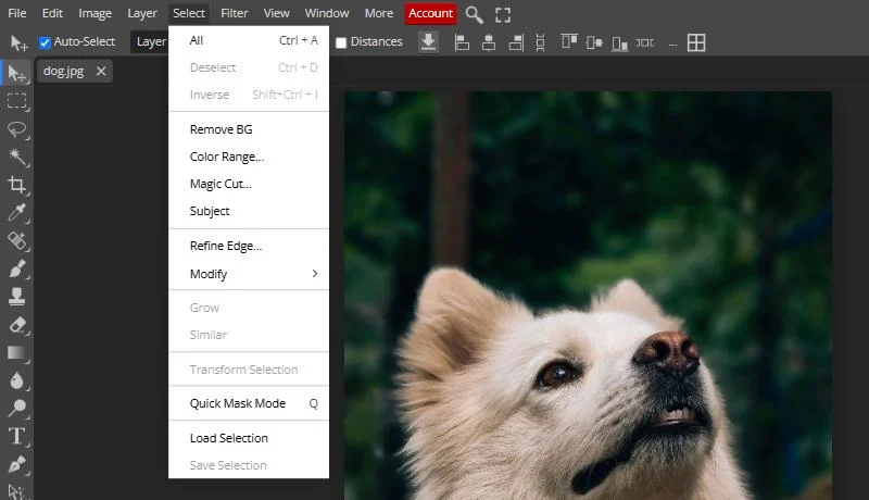 The Photopea Select menu open over a photo of a dog, listing Remove BG, Color Range, Magic Cut, Subject and Refine Edge