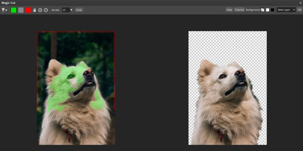 The Photopea Magic Cut workspace: the dog photo on the left with a green brush mark, the cutout on a checkerboard on the right, and the Border and New Layer options at the top