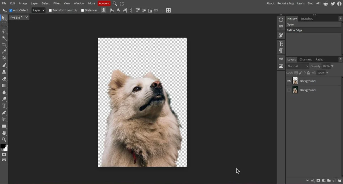 Photopea after Magic Cut: the dog on a checkerboard, with the cutout on a new layer and the original layer hidden below it