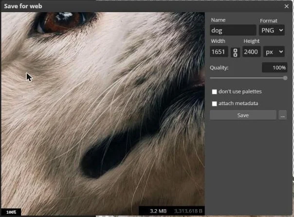 The Photopea Save for web window with Format set to PNG, the width and height of the photo, and a Save button