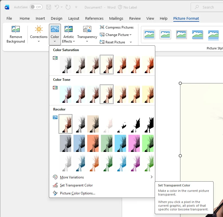 Word with the portrait selected and the Color menu open under Picture Format, showing Set Transparent Color at the bottom